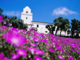 Flowerbed and Junipero Serra Museum, Presidio Park, Old Town, San Diego, United States of America Photographic Print by Richard Cummins