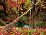 Broom and Gardens at Eikando Temple, Kyoto, Japan Photographic Print by Frank Carter
