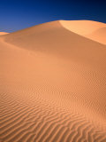 Algodones Dunes in Imperial Sand Dunes Recreation Area, California, USA Photographic Print by Mark Newman