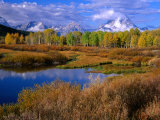Trees and Lake During Autumn with Mt. Moran in Distance, Grand Teton National Park, USA Photographie par Carol Polich