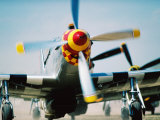 WWII Aeroplane, "War Birds" Air Show, Oshkosh, U.S.A. Photographic Print by Lou Jones