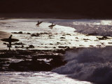 Surfers at Dawn Walking into Waves, Cabo Blanco, Peru Photographic Print by Paul Kennedy