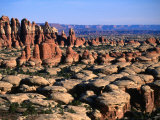 Elephant Canyon and the Needles Rock Formations, Canyonlands National Park, USA Fotografisk tryk af John Elk III Elephant Canyon and the Needles Rock Formations, Canyonlands National Park, USA Fotografisk tryk af John Elk III