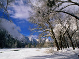 Trees and Mountains, Winter, Yosemite Valley, U.S.A. Photographic Print by Thomas Winz