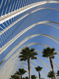 El Ombracle (Walkway / Garden ), City of Arts and Sciences, Valencia, Spain Photographic Print by Greg Elms