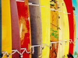 Surfboards for Hire, Waikiki Beach, Waikiki, United States of America Fotografie-Druck von Richard I'Anson