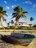 Skiff on Coral Beach Sand, Belize Photographic Print by Wayne Walton