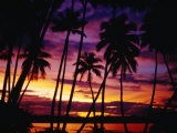 Palm Trees on Yanuca Island on the Coral Coast Silhouetted at Sunset, Fiji Photographic Print by Richard I'Anson