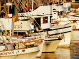 Fishing Fleet, Fishermans Wharf, San Francisco, United States of America Photographic Print by Richard Cummins