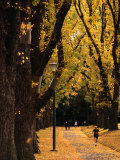 Fitzroy Gardens, Melbourne, Australia Fotografisk trykk av James Braund