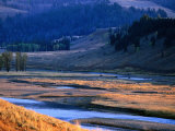 Lamar River Valley with Bison Crossing in Distance, Yellowstone National Park, U.S.A. Photographic Print by Christer Fredriksson