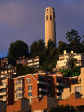 Apartment Buildings with Coit Tower Behind, San Francisco, USA Fotografisk tryk af John Elk III