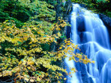 Moss Glen Falls, Green Mountain National Forest, USA Photographie par Mark Newman