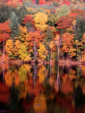 Trees by River in Autumn, USA Photographic Print by Mark Newman
