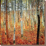 Forest of Birch Trees, c.1903 Reproduction transférée sur toile par Gustav Klimt