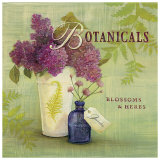 Blossoms and Herbs Affiche par Angela Staehling