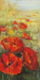 Red Poppy Panel Stampe di Carol Rowan