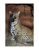 Sitting Leopard Prints by Rajendra Singh