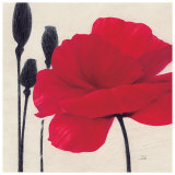 Rouge Kunstdrucke von Ivo 