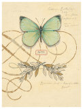 Scripted Papillon Posters por Chad Barrett