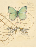 Scripted Papillon Posters by Chad Barrett
