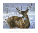 Through My Window: Whitetail Deer Posters par Joni Johnson-godsy