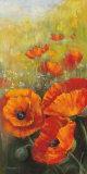 Orange Poppy Panel Print by Carol Rowan