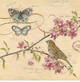 Nature's Observations II Pósters por Chad Barrett