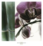 Bamboo I Poster av Jennifer Broussard