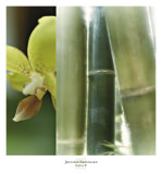Bamboo III Plakater av Jennifer Broussard