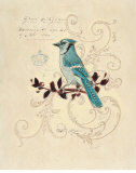 Filigree Jay Affiche par Chad Barrett