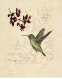 Filigree Hummingbird Posters par Chad Barrett