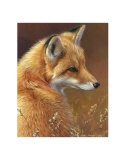 Curious: Red Fox Posters af Joni Johnson-godsy Curious: Red Fox Posters af Joni Johnson-godsy