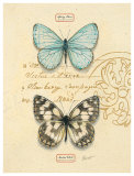 Duet Papillon Póster por Chad Barrett