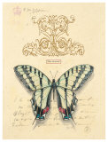 Filigree Papillon Poster por Chad Barrett