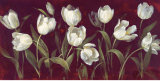 Ivory Tulip Affiches par Fabrice De Villeneuve