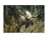 Calm Before the Challenge Prints by Carl Brenders