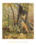 Eyes of Autumn Prints by Kalon Baughan