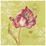 Toile Tulip Prints by Stefania Ferri