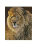 Power and Presence: African Lion Láminas por Joni Johnson-godsy Power and Presence: African Lion Láminas por Joni Johnson-godsy