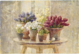 Spring Bulb Still Life Affiches par Danhui Nai