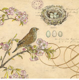 Nature's Observations I Art by Chad Barrett
