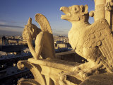 Gargoyles of the Notre Dame Cathedral, Paris, France Photographic Print by David Barnes