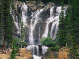 Tangle Creek, Jasper National Park, Alberta, Canada Photographic Print by Adam Jones Tangle Creek, Jasper National Park, Alberta, Canada Photographic Print by Adam Jones