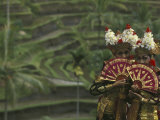 Legong Dancers, Bali, Indonesia Photographic Print by Michele Westmorland