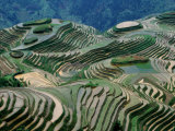Mountainside Landscape of Rice Terraces, China Photographic Print by Keren Su
