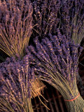 Lavender Bunches, Bouches-du-Rhone, France Photographic Print by Walter Bibikow