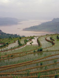 Terraced Rice Paddy on the Yangtze River, Three Gorges, China Photographie par Keren Su