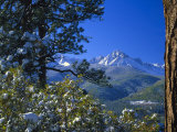 Snow Covered Trees and Sneffels Wilderness Range, Colorado, USA Photographic Print by Julie Eggers