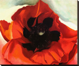 Poppy Impressão em tela esticada por Georgia O'Keeffe